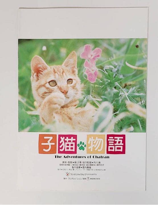 Amazon.co.jp: 1986年映画子猫物語パンフレット坂本龍一ムツゴロウ畑